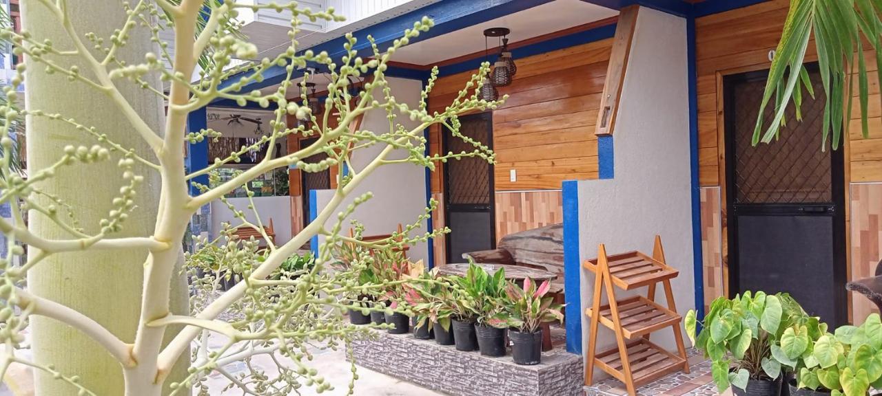 Foxtail Guesthouse Siargao General Luna  Ngoại thất bức ảnh